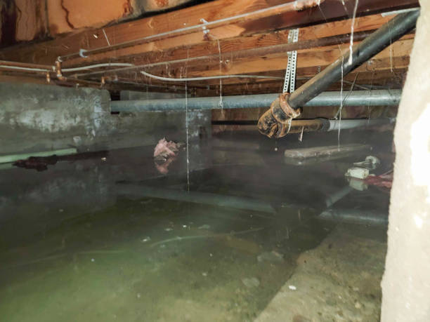 Professional Water damage restoration in ID