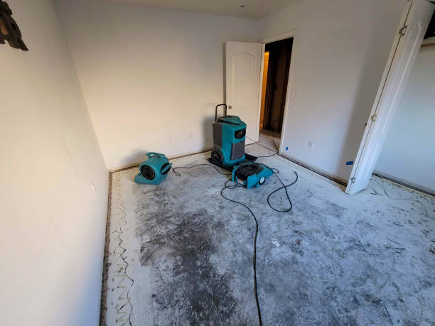 Best Water damage cleanup near me  in Mountain Home Af, ID