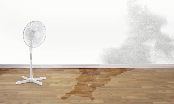 Best Flood damage cleanup  in Mountain Home Af, ID