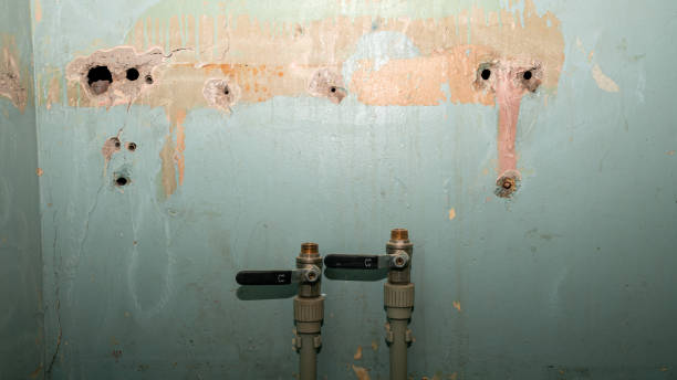 Best Water damage restoration mold remediation  in Mountain Home Af, ID