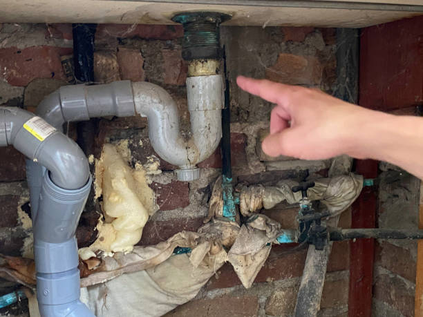 Best 24/7 water damage repair  in Mountain Home Af, ID