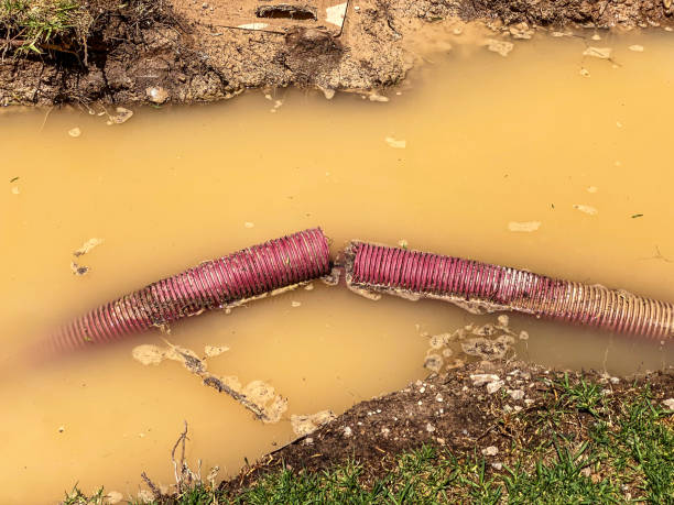 Best Water damage restoration near me  in Mountain Home Af, ID